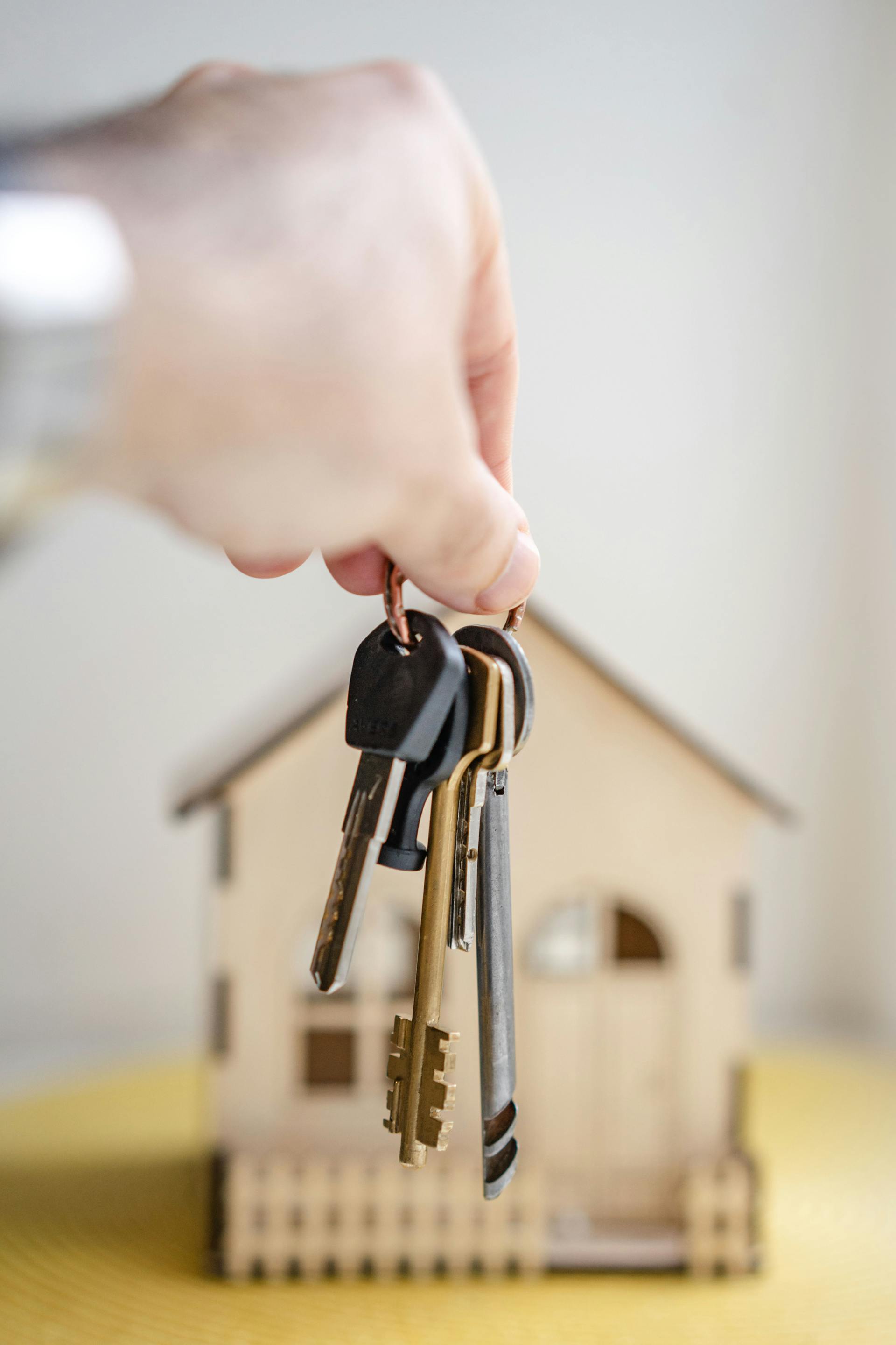 The Ind Realty Overview